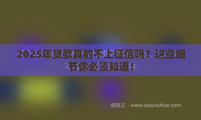 2025年贷款真的不上征信吗？这些细节你必须知道！