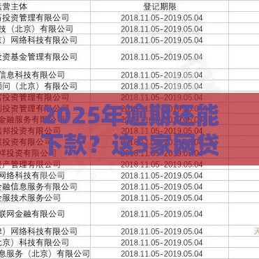 2025年逾期还能下款？这5家网贷平台或许能帮到你！