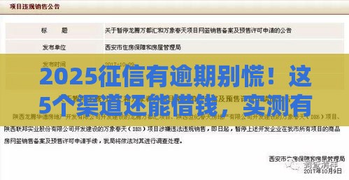 2025征信有逾期别慌！这5个渠道还能借钱，实测有效