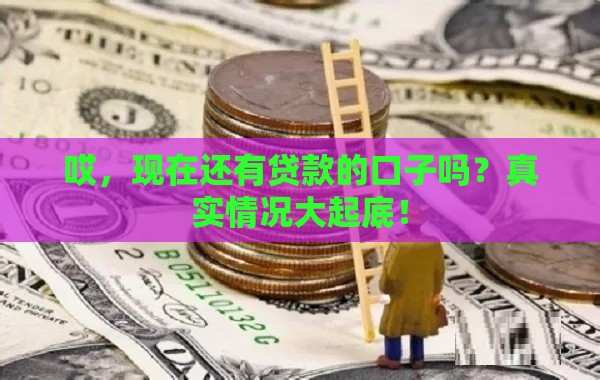 哎，现在还有贷款的口子吗？真实情况大起底！