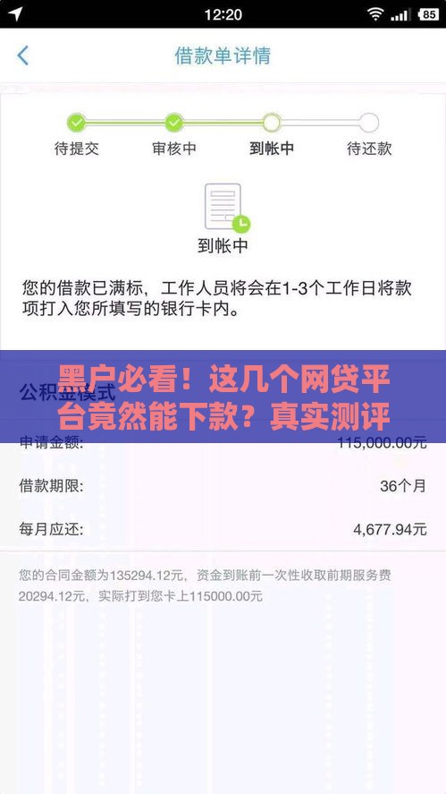 黑户必看！这几个网贷平台竟然能下款？真实测评+避坑指南