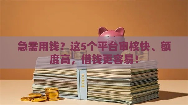 急需用钱？这5个平台审核快、额度高，借钱更容易！