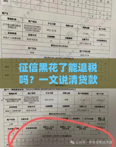 征信黑花了能退税吗？一文说清贷款人必看的退税真相