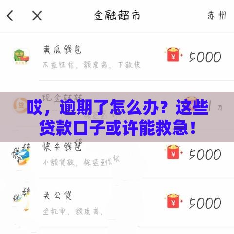 哎，逾期了怎么办？这些贷款口子或许能救急！
