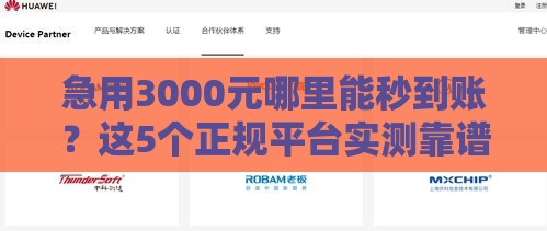急用3000元哪里能秒到账？这5个正规平台实测靠谱！