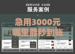急用3000元哪里能秒到账？这5个正规平台实测靠谱！