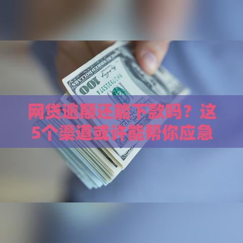 网贷逾期还能下款吗？这5个渠道或许能帮你应急！