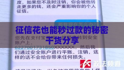 征信花也能秒过款的秘密干货分享