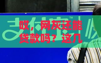 哎，网灰还能贷款吗？这几个口子或许能救急！