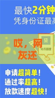 哎，网灰还能贷款吗？这几个口子或许能救急！