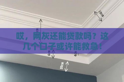 哎，网灰还能贷款吗？这几个口子或许能救急！