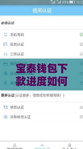 宝泰钱包下款进度如何查询？这份攻略手把手教你查清到账时间