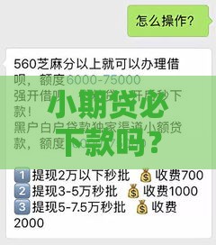 小期贷必下款吗？揭秘5大避坑真相，这些细节别忽略！