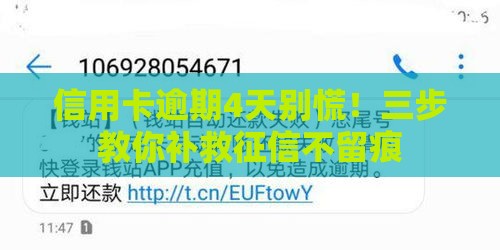信用卡逾期4天别慌！三步教你补救征信不留痕