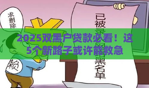 2025双黑户贷款必看！这5个新路子或许能救急