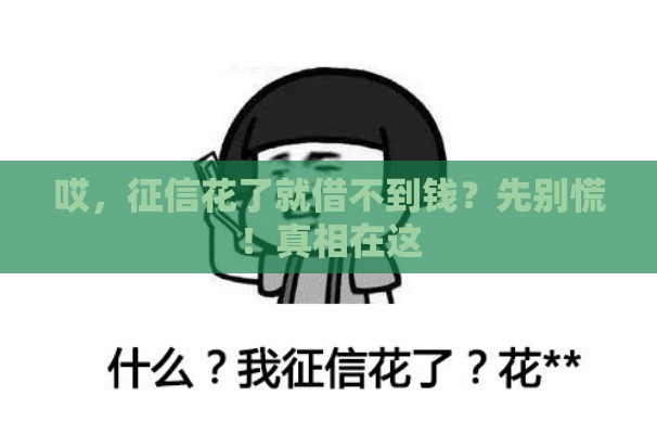 哎，征信花了就借不到钱？先别慌！真相在这