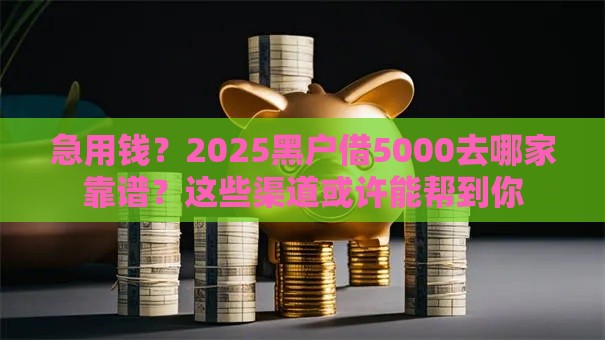 急用钱？2025黑户借5000去哪家靠谱？这些渠道或许能帮到你