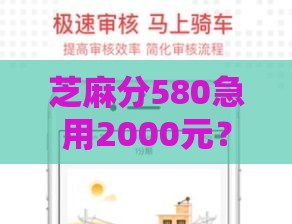 芝麻分580急用2000元？实测这几个平台能快速放款
