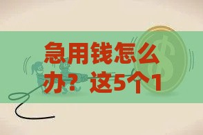 急用钱怎么办？这5个14天借贷口子实测推荐！