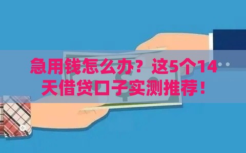 急用钱怎么办？这5个14天借贷口子实测推荐！
