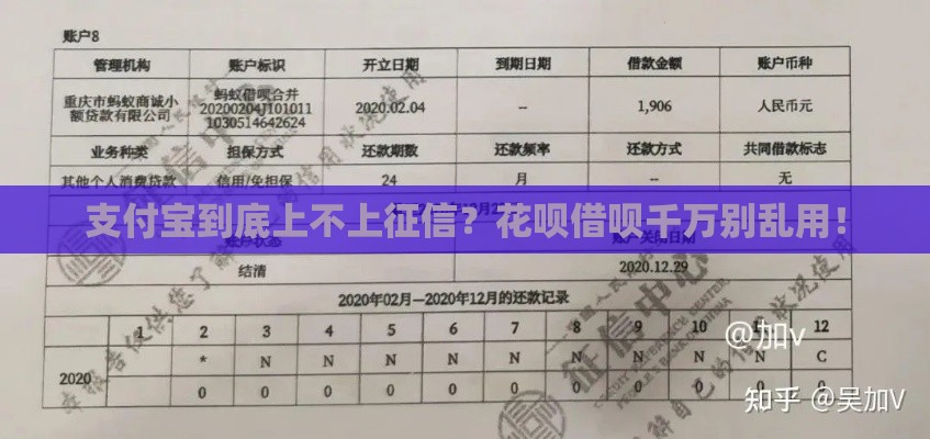 支付宝到底上不上征信？花呗借呗千万别乱用！