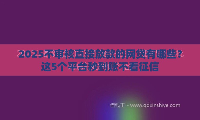 2025不审核直接放款的网贷有哪些？这5个平台秒到账不看征信