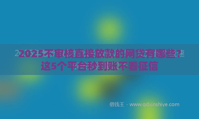 2025不审核直接放款的网贷有哪些？这5个平台秒到账不看征信
