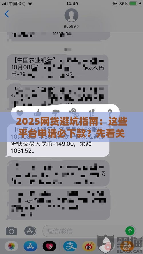 2025网贷避坑指南：这些平台申请必下款？先看关键！