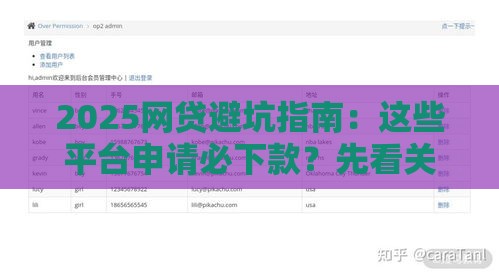 2025网贷避坑指南：这些平台申请必下款？先看关键！