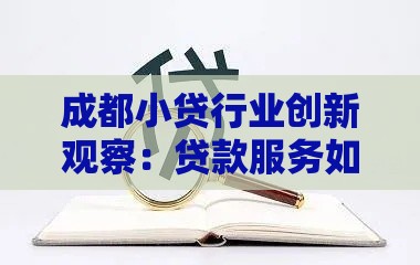 成都小贷行业创新观察：贷款服务如何玩出新花样？