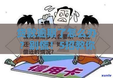 贷款逾期了怎么办？别慌！5招教你快速补救信用