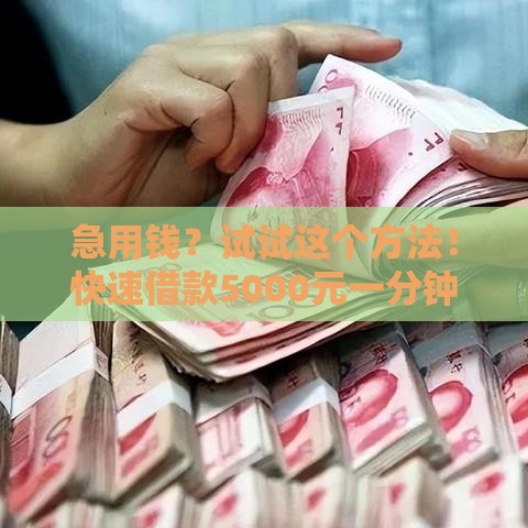 急用钱？试试这个方法！快速借款5000元一分钟到账，低门槛正规平台推荐