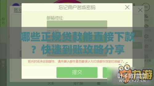 哪些正规贷款能直接下款？快速到账攻略分享