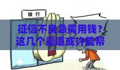 征信不良急需用钱？这几个渠道或许能帮到你