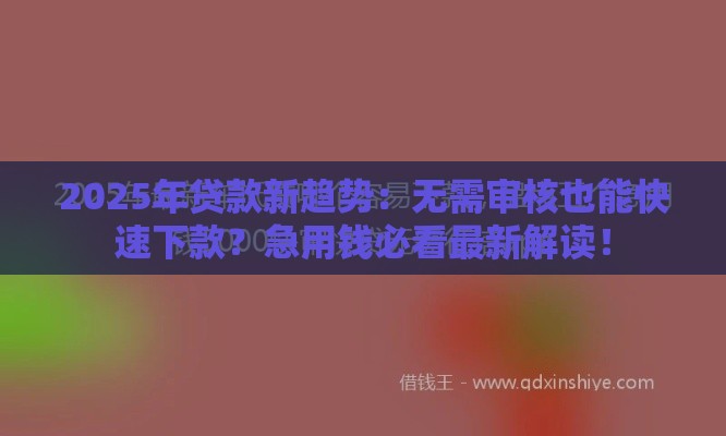 2025年贷款新趋势：无需审核也能快速下款？急用钱必看最新解读！