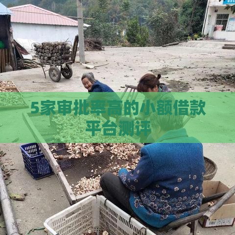 5家审批率高的小额借款平台测评