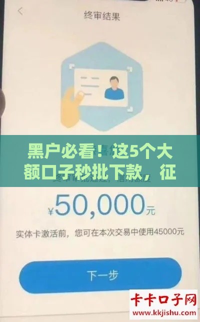 黑户必看！这5个大额口子秒批下款，征信差也能过审