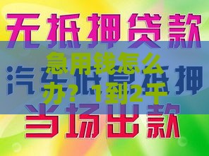 急用钱怎么办？1到2千小额贷 借款1000元当天到账！