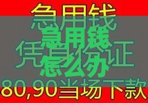 急用钱怎么办？1到2千小额贷 借款1000元当天到账！