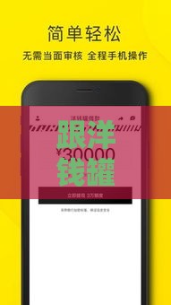 跟洋钱罐一样好下款？这5个平台审核快门槛低