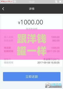 跟洋钱罐一样好下款？这5个平台审核快门槛低