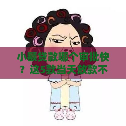 小额贷款哪个审批快？这5款当天放款不耽误事