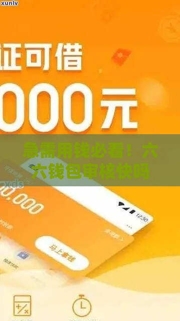 急需用钱必看！六六钱包审核快吗？真实体验分享