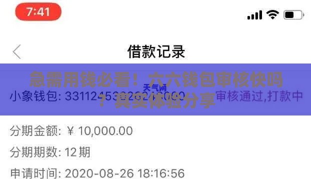 急需用钱必看！六六钱包审核快吗？真实体验分享