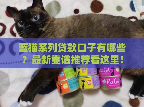 蓝猫系列贷款口子有哪些？最新靠谱推荐看这里！