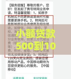 小额贷款500到1000怎么申请？手把手教你避开这些坑