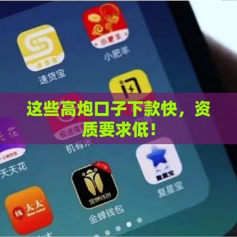这些高炮口子下款快，资质要求低！