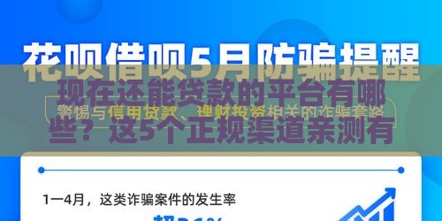 现在还能贷款的平台有哪些？这5个正规渠道亲测有效！