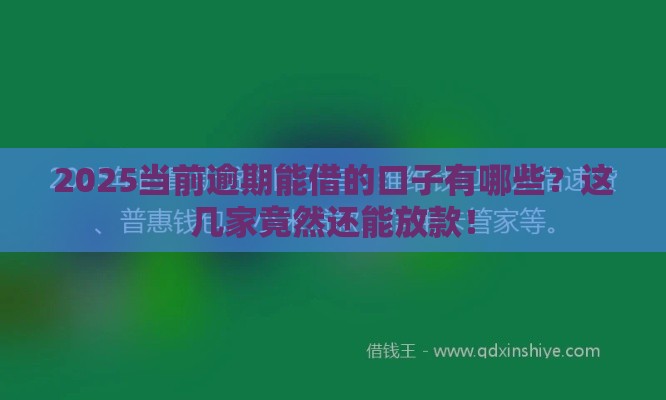 2025当前逾期能借的口子有哪些？这几家竟然还能放款！