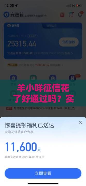 羊小咩征信花了好通过吗？实测审核机制与提额技巧分享